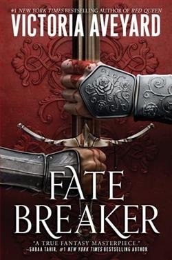 Cover of novel: Fate Breaker