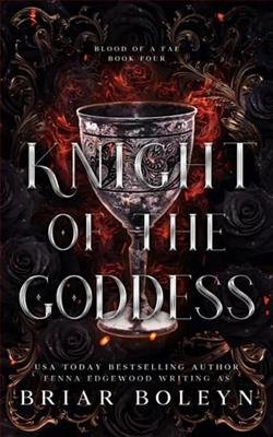 Cover of novel: Knight of the Goddess