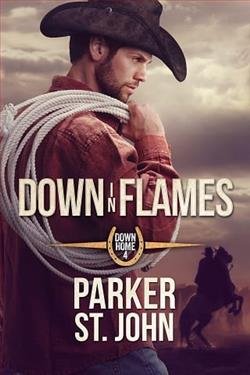 Cover of novel: Down in Flames