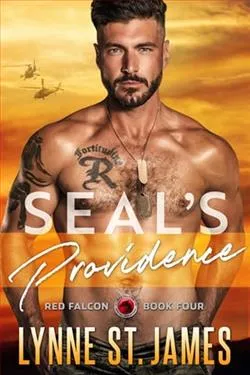 SEAL's Providence