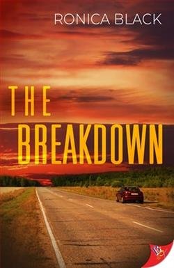 Cover of novel: The Breakdown
