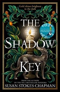 Cover of novel: The Shadow Key