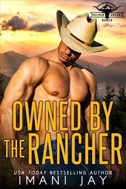 Cover of novel: Owned By the Rancher