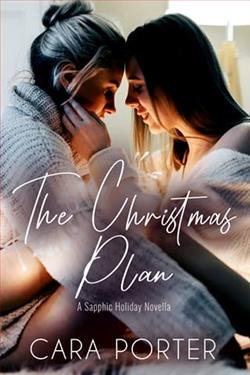 Cover of novel: The Christmas Plan