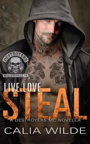 Live Love Steal (Destroyers MC: Skilletsville PA #2)