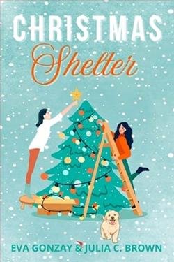 Cover of novel: Christmas Shelter
