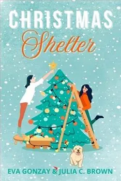 Christmas Shelter