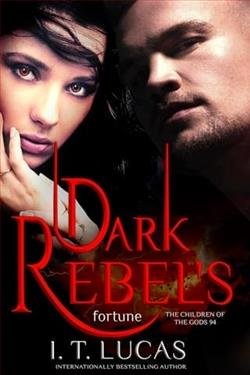Cover of novel: Dark Rebel's Fortune