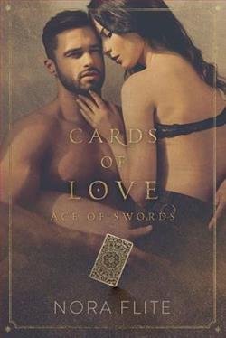 Cover of novel: Ace of Swords