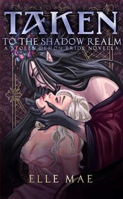 Cover of novel: Taken to the Shadow Realm