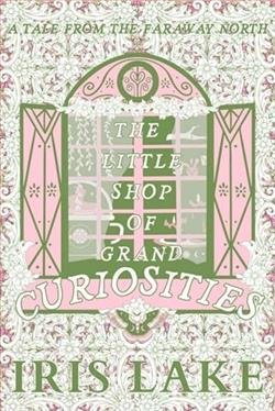 Cover of novel: The Little Shop of Grand Curiosities