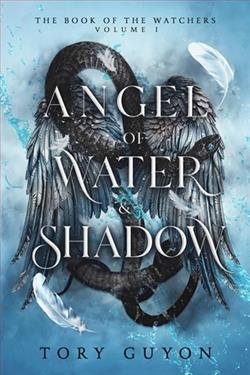 Cover of novel: Angel of Water & Shadow