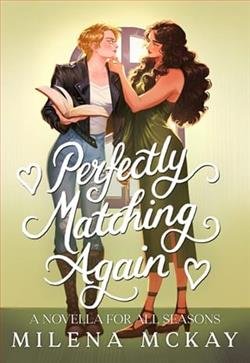 Cover of novel: Perfectly Matching Again