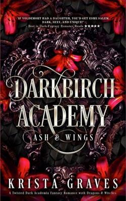Cover of novel: Darkbirch Academy