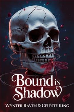 Cover of novel: Bound In Shadow