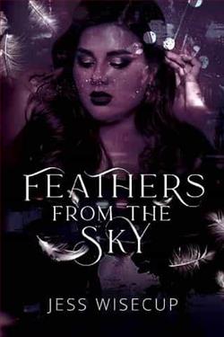 Cover of novel: Feathers From the Sky
