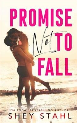 Cover of novel: Promise Not To Fall