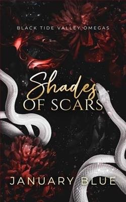 Cover of novel: Shades of Scars