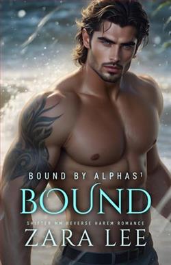 Cover of novel: Bound By Alphas 1: Bound