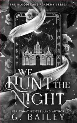Cover of novel: We Hunt the Night