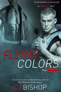 Cover of novel: Flying Colors