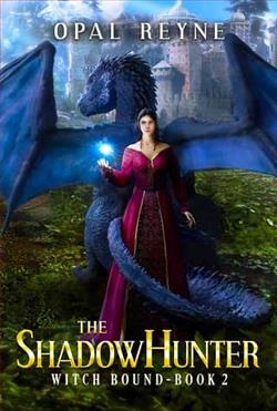Cover of novel: The ShadowHunter