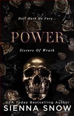 Cover of novel: Power
