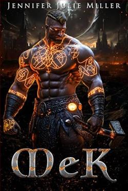 Cover of novel: MeK
