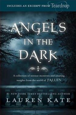 Cover of novel: Angels in the Dark