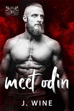 Cover of novel: Meet Odin