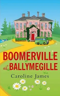 Boomerville at Ballymegille