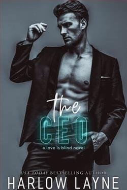 Cover of novel: The CEO