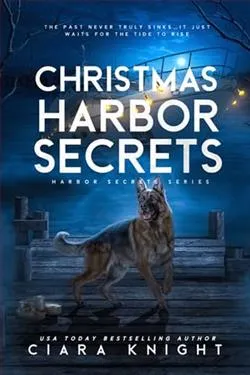 Christmas Harbor Secrets