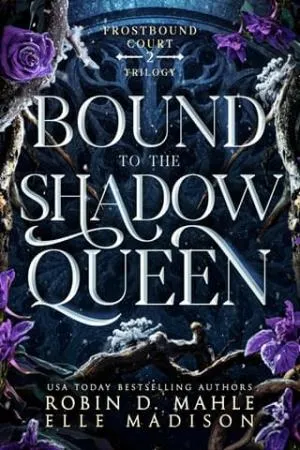Bound to the Shadow Queen (Frostbound Court #2)