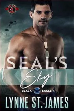 SEAL's Sky
