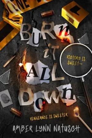 Burn It All Down (Hometown Antihero #4)