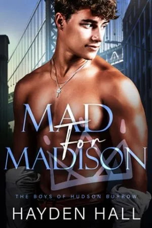 Mad for Madison (The Boys of Hudson Burrow #4)
