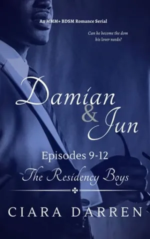 Damian & Jun, Episodes 9-12 (The Residency Boys #8)