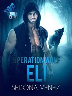 Operation Wolf: Eli