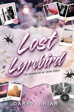 Lost Lyrebird