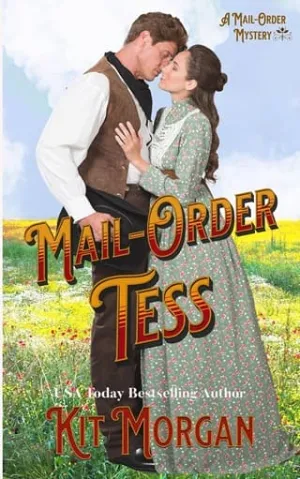 Mail-Order Tess (A Mail-Order Mystery #2)