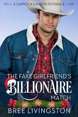 The Fake Girlfriend's Billionaire Match