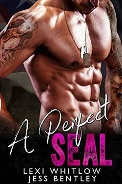 Cover of novel: A Perfect SEAL