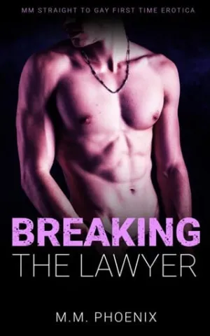 Breaking the Lawyer (Straight No More #4)