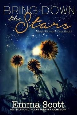 Cover of novel: Bring Down the Stars