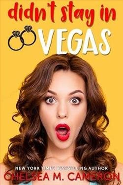 Cover of novel: Didn't Stay in Vegas