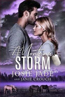 Cover of novel: Montana Storm