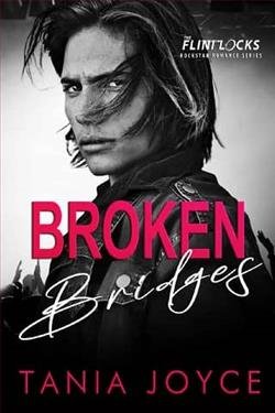 Cover of novel: Broken Bridges