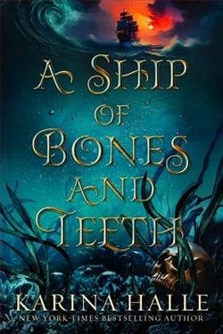Cover of novel: A Ship of Bones & Teeth