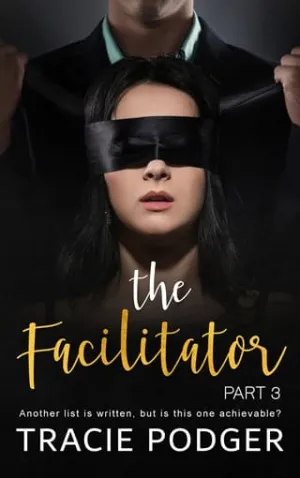 The Facilitator, Part 3